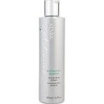 Kenra Platinum Restorative Shampoo 8.5oz