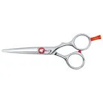 Centrix Roc-It Dog Shear