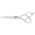 Cricket Profesional Shear