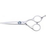 Cricket Profesional Shear