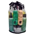 FootSpa Student Kit