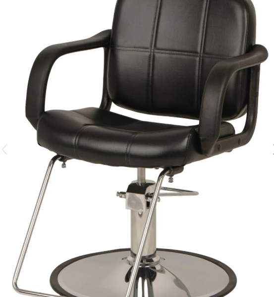 Modern Styling Chair (Economy)