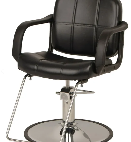 Modern Styling Chair (Economy)