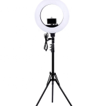Ring Light 14 in w/stand & phone holder